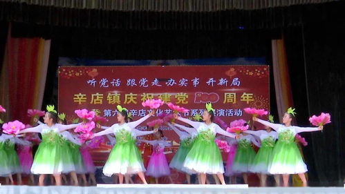 辛店鎮(zhèn)慶祝建黨一百周年暨第六屆文化藝術(shù)節(jié)圓滿舉行